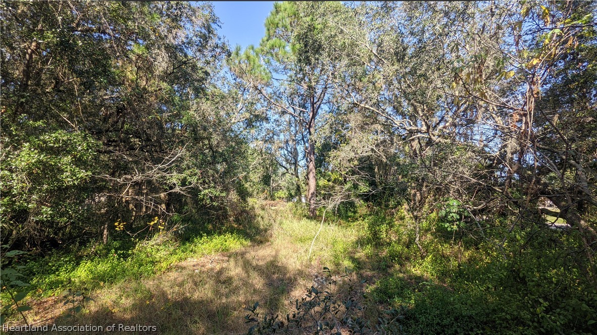 1979 North Cardinal Road Avon Park, FL 33825 - Photo 3 of 12 Gallery Image 3