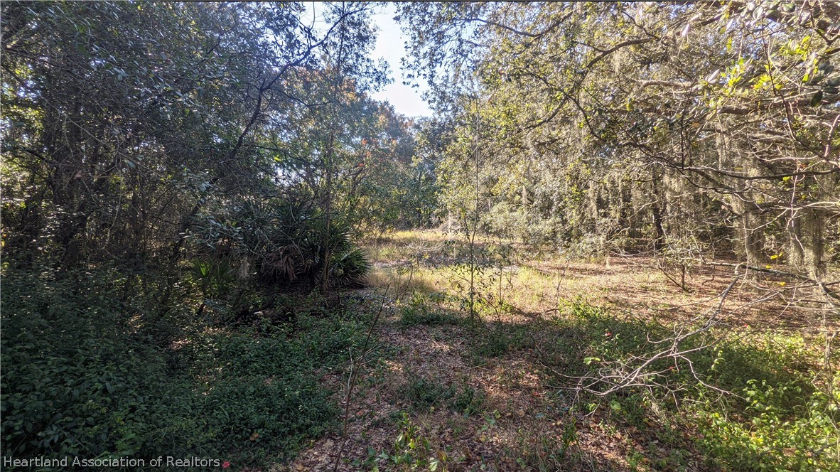 1979 North Cardinal Road Avon Park, FL 33825 - Photo 9 of 12 Gallery Image 9