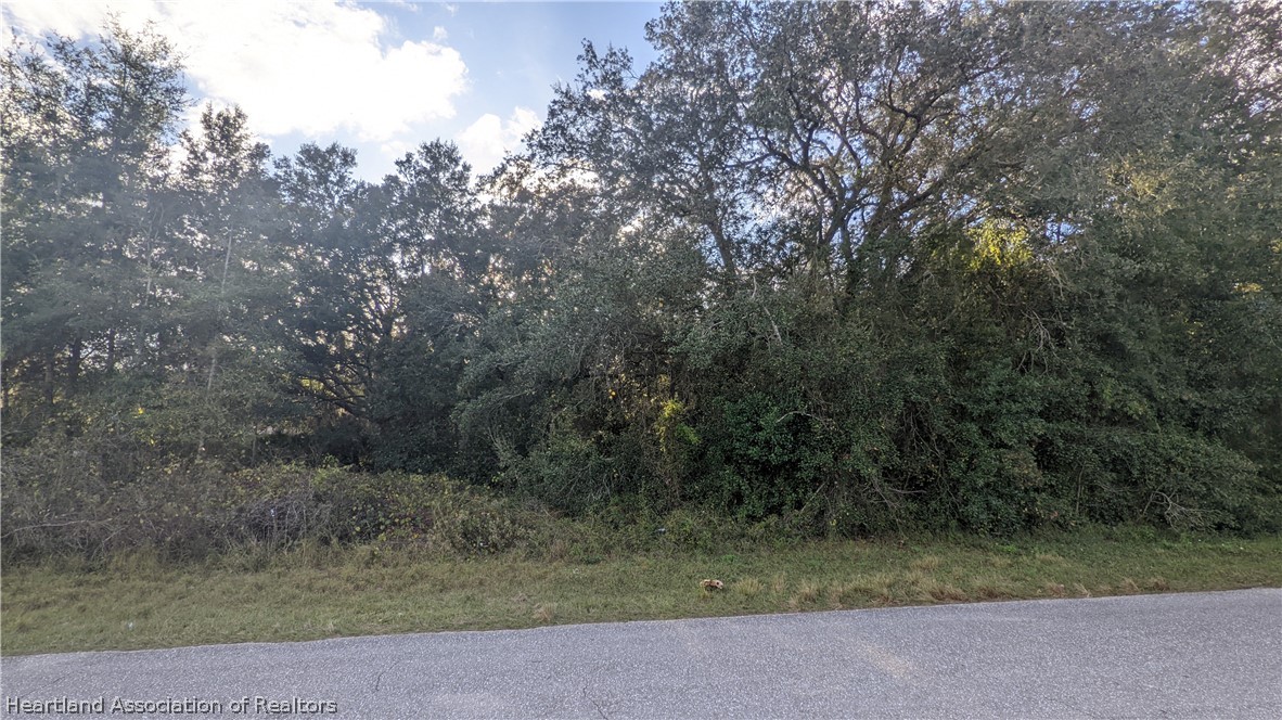 1979 North Cardinal Road Avon Park, FL 33825 - Photo 10 of 12 Gallery Image 10