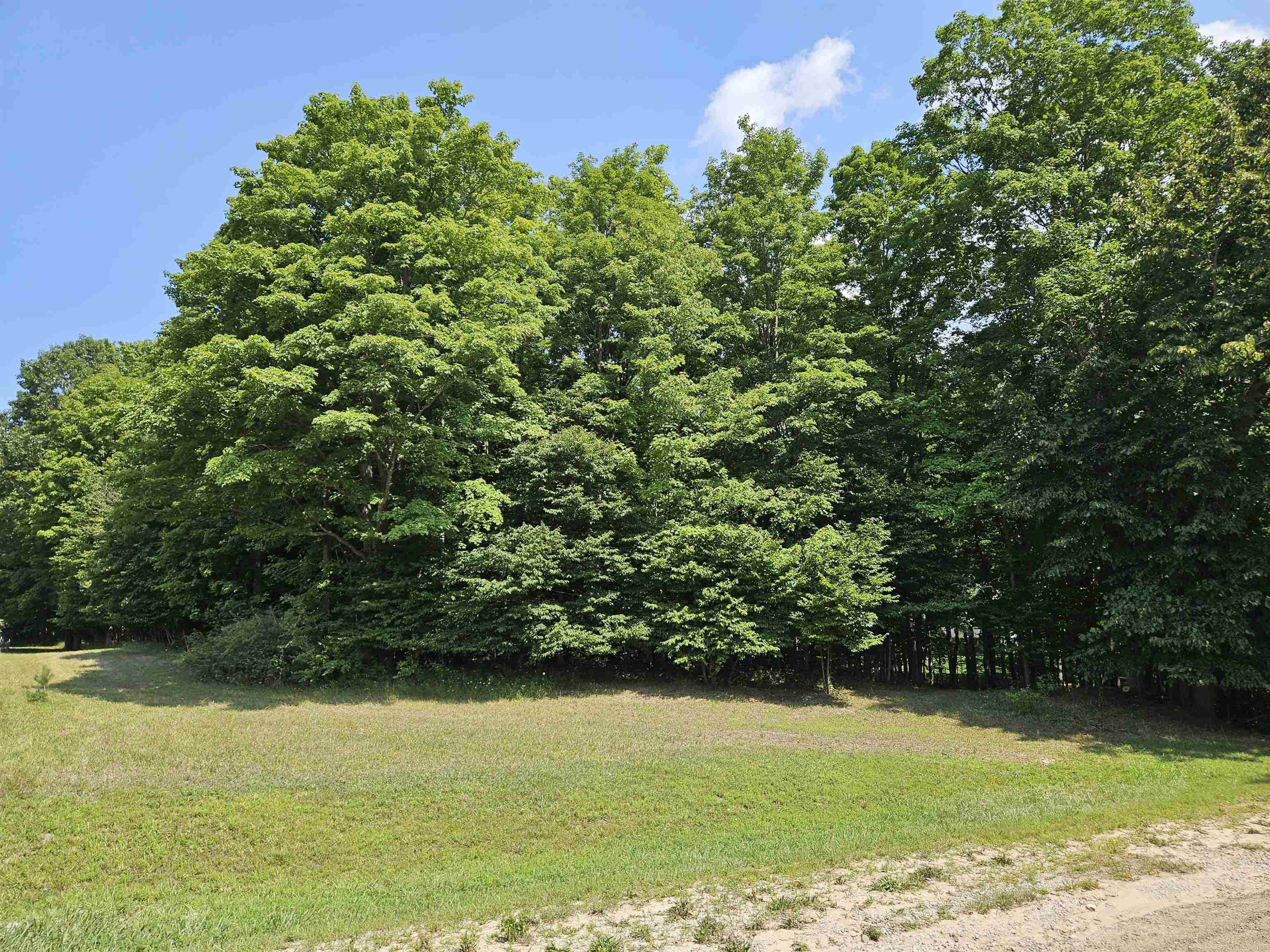 Tbd Tbd Willsey Road Traverse City, MI 49696 - Photo 20 of 22