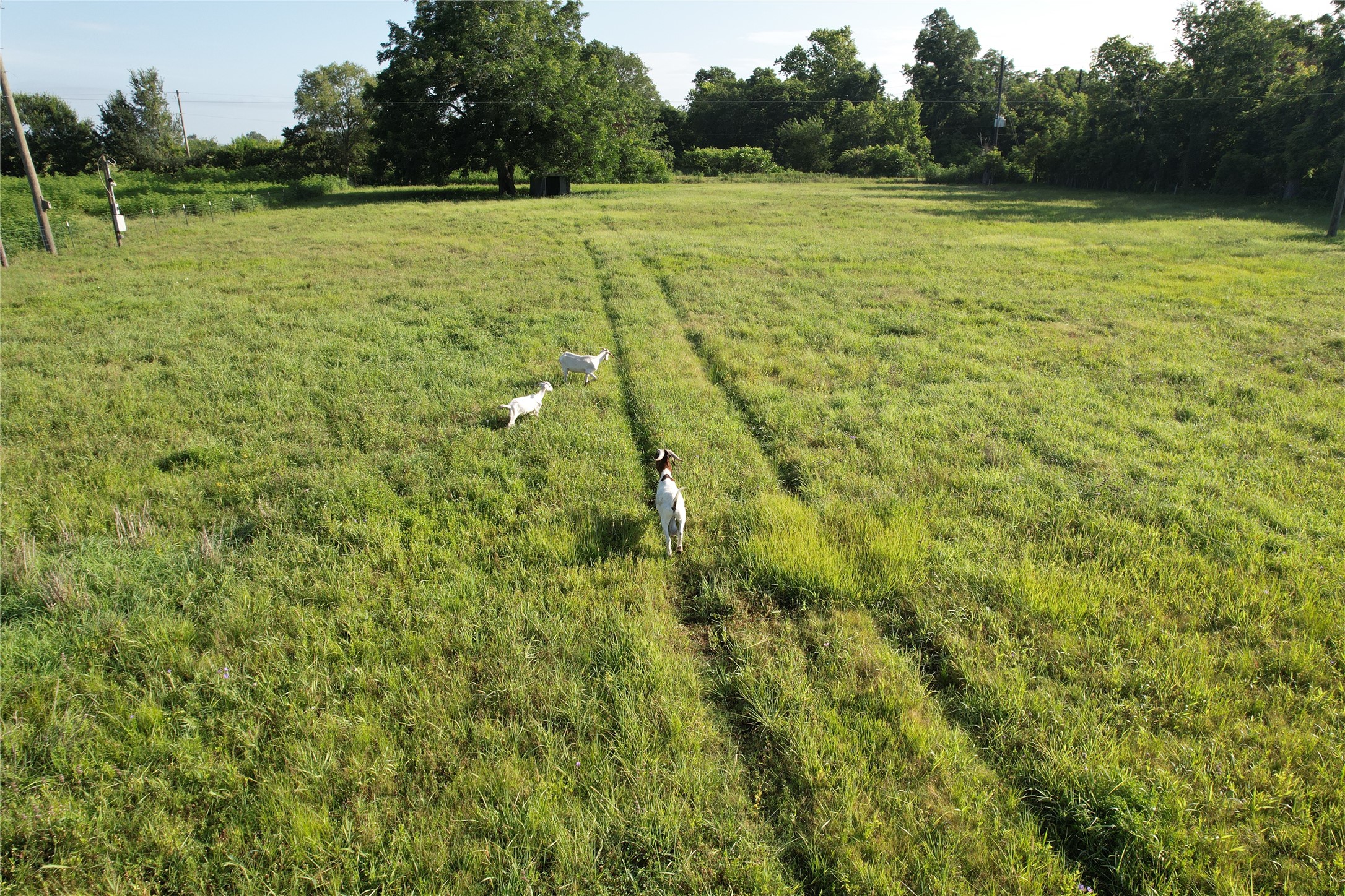36600 Cheyenne Road Simonton, TX 77485 - Photo 15 of 21
