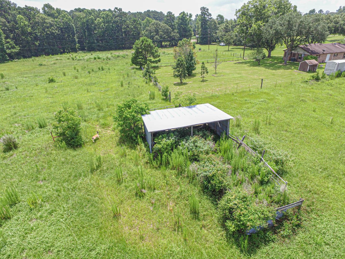 899 J Hickman Road Livingston, TX 77351 - Photo 9 of 48