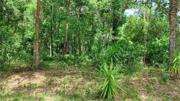 $44,500 | Davista, New Port Richey, FL 34654