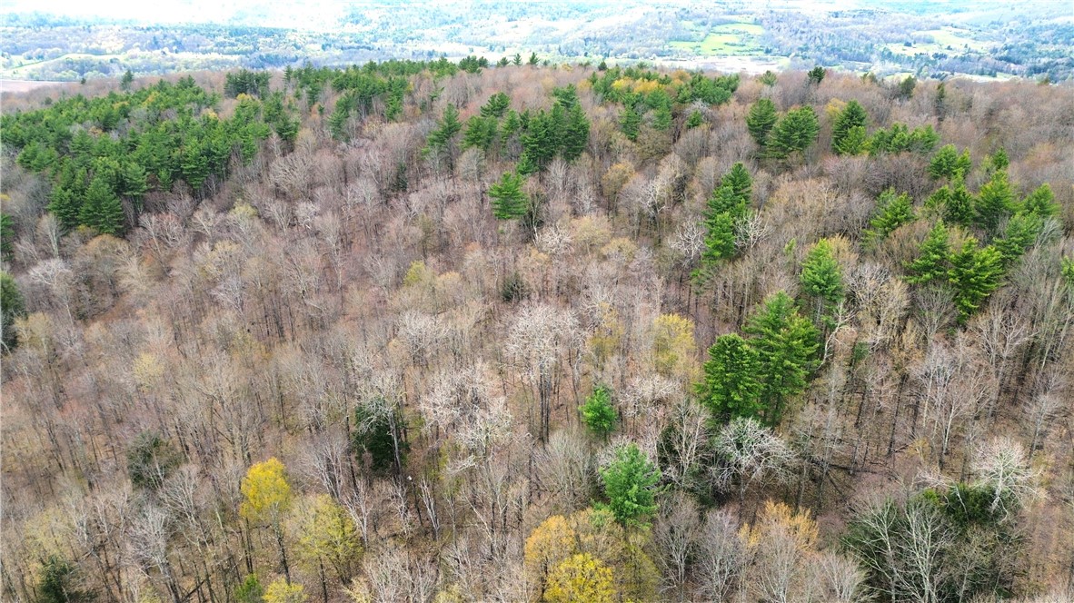 0 Patent Line Road Franklin, NY 13775 - Photo 4 of 47