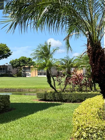 a view of a yard with a palm tree