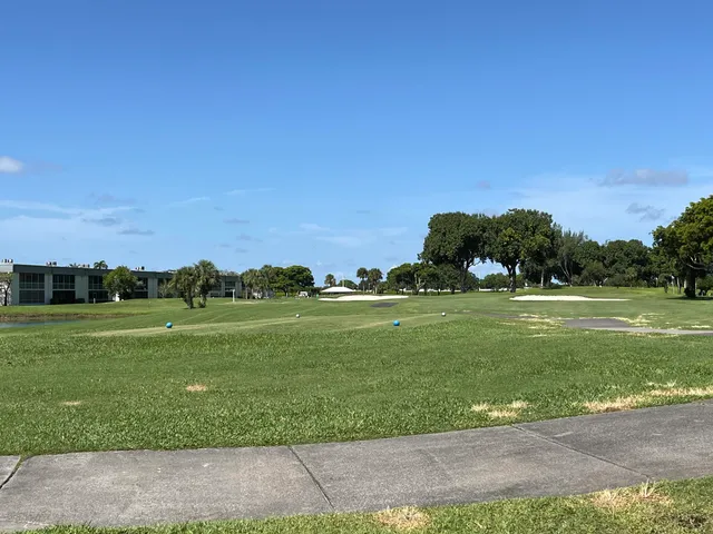 a view of a grassy field with an trees