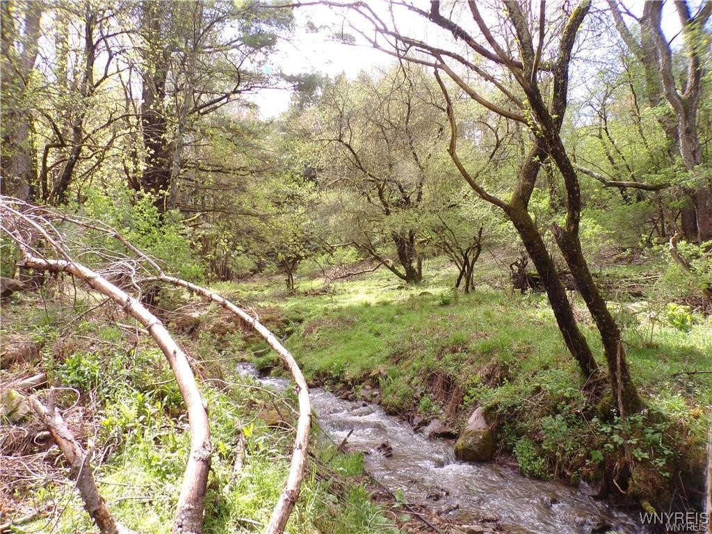 501 High Independence, NY 14897 - Photo 9 of 34