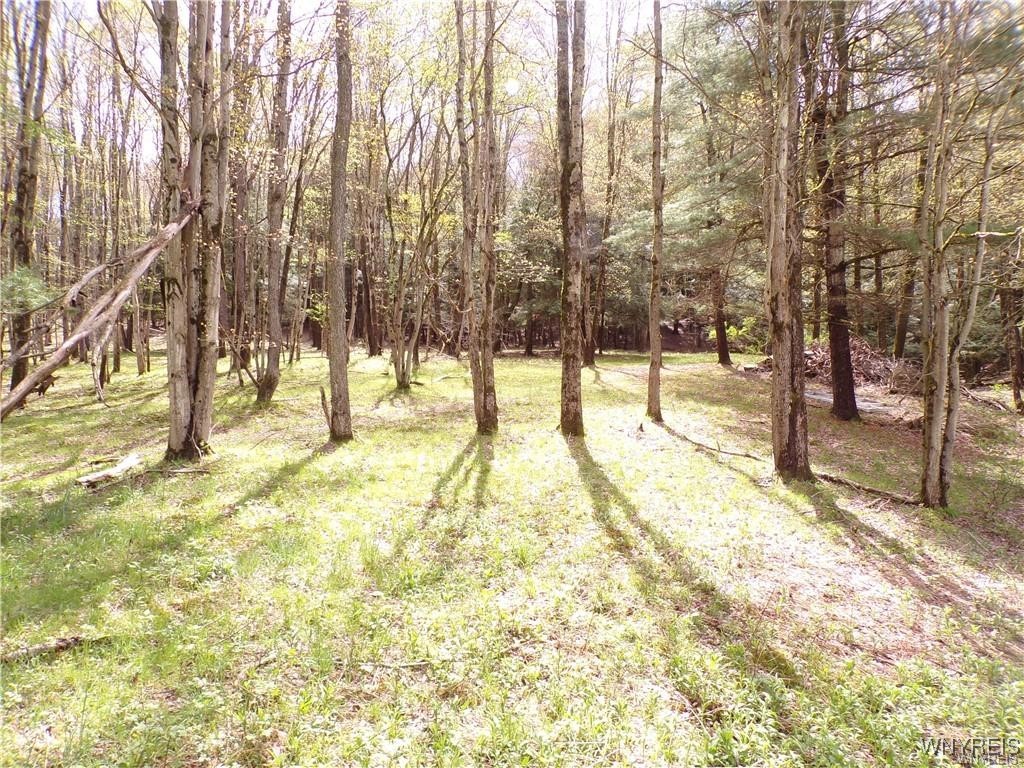 501 High Independence, NY 14897 - Photo 10 of 34