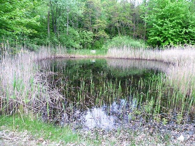 8935 Folkert Road Algonac, MI 48001 - Photo 8 of 19 31321554-7.JPG