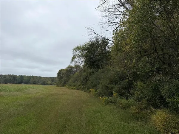 a view of a field of grass and trees