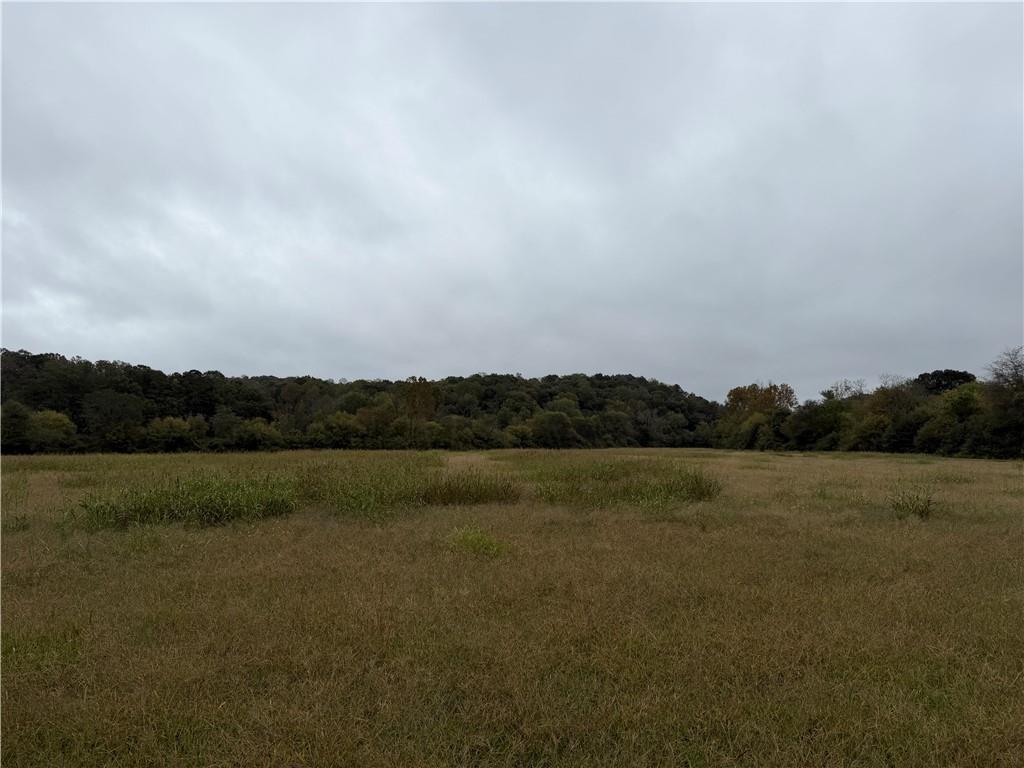 0 County Road 60 Heflin, AL 36264 - Photo 12 of 17 a view of lake