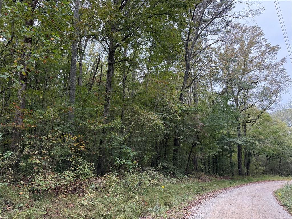 0 County Road 60 Heflin, AL 36264 - Photo 15 of 17 a view of a forest with trees in the background