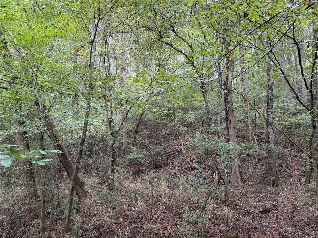 0 County Road 60 Heflin, AL 36264 - Photo 17 of 17 a view of a forest with trees in the background