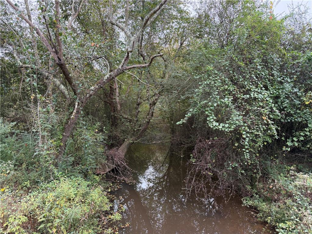 0 County Road 60 Heflin, AL 36264 - Photo 2 of 17 a view of forest