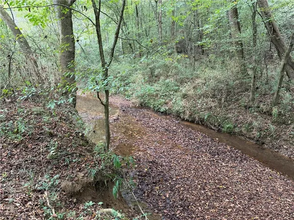 a big yard with lots of plants and trees