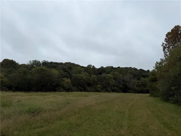 a view of a mountain
