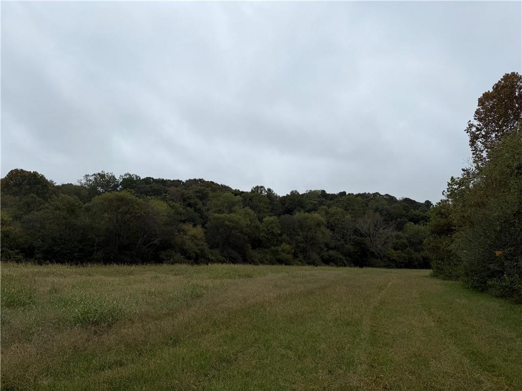 0 County Road 60 Heflin, AL 36264 - Photo 7 of 17 a view of a mountain