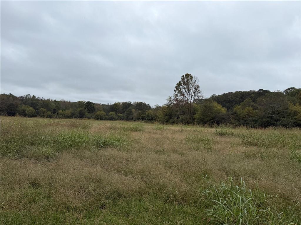 0 County Road 60 Heflin, AL 36264 - Photo 8 of 17 a view of a lake in middle of forest
