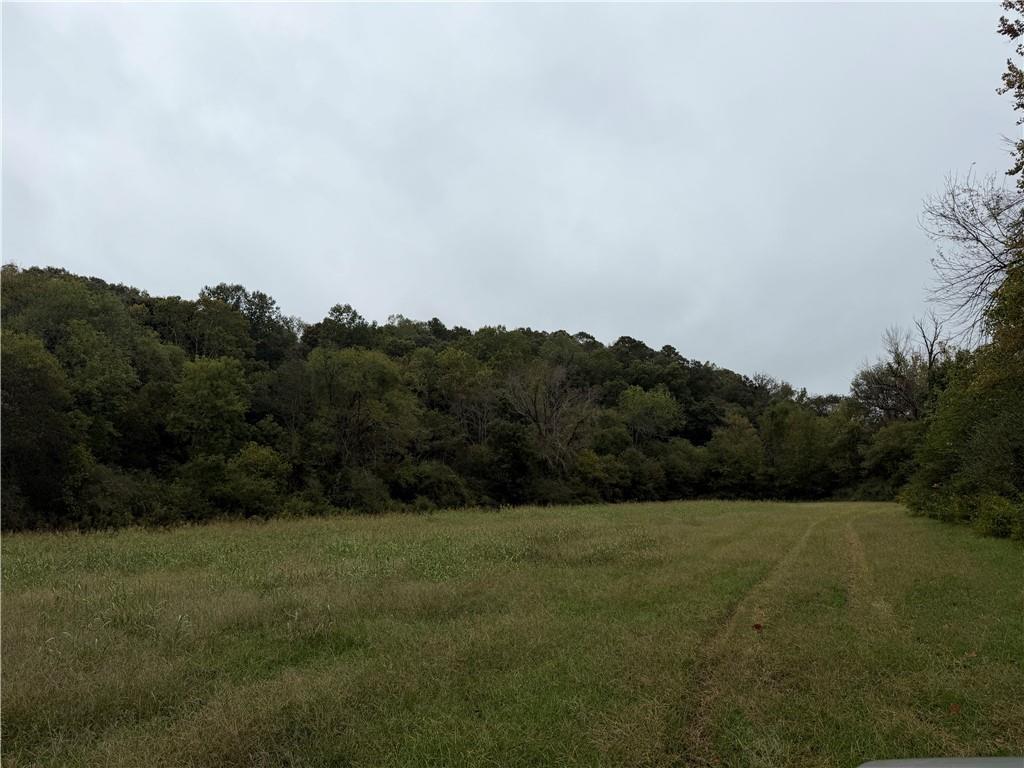 0 County Road 60 Heflin, AL 36264 - Photo 9 of 17 a view of a field