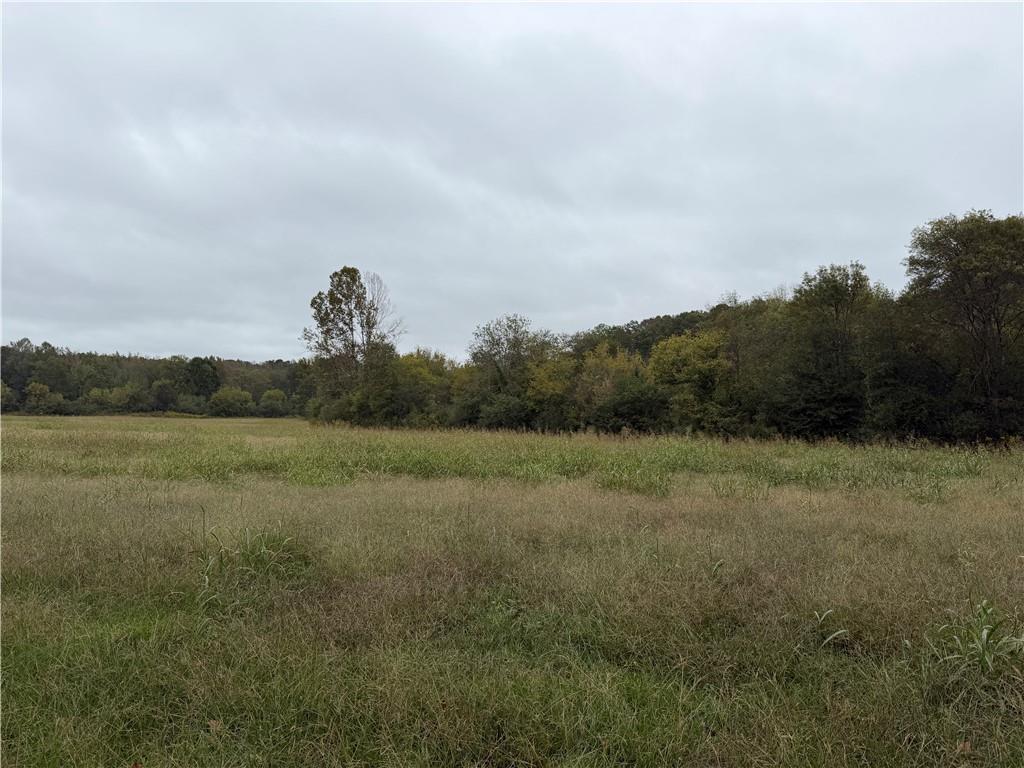 0 County Road 60 Heflin, AL 36264 - Photo 10 of 17 a view of a field with trees in background