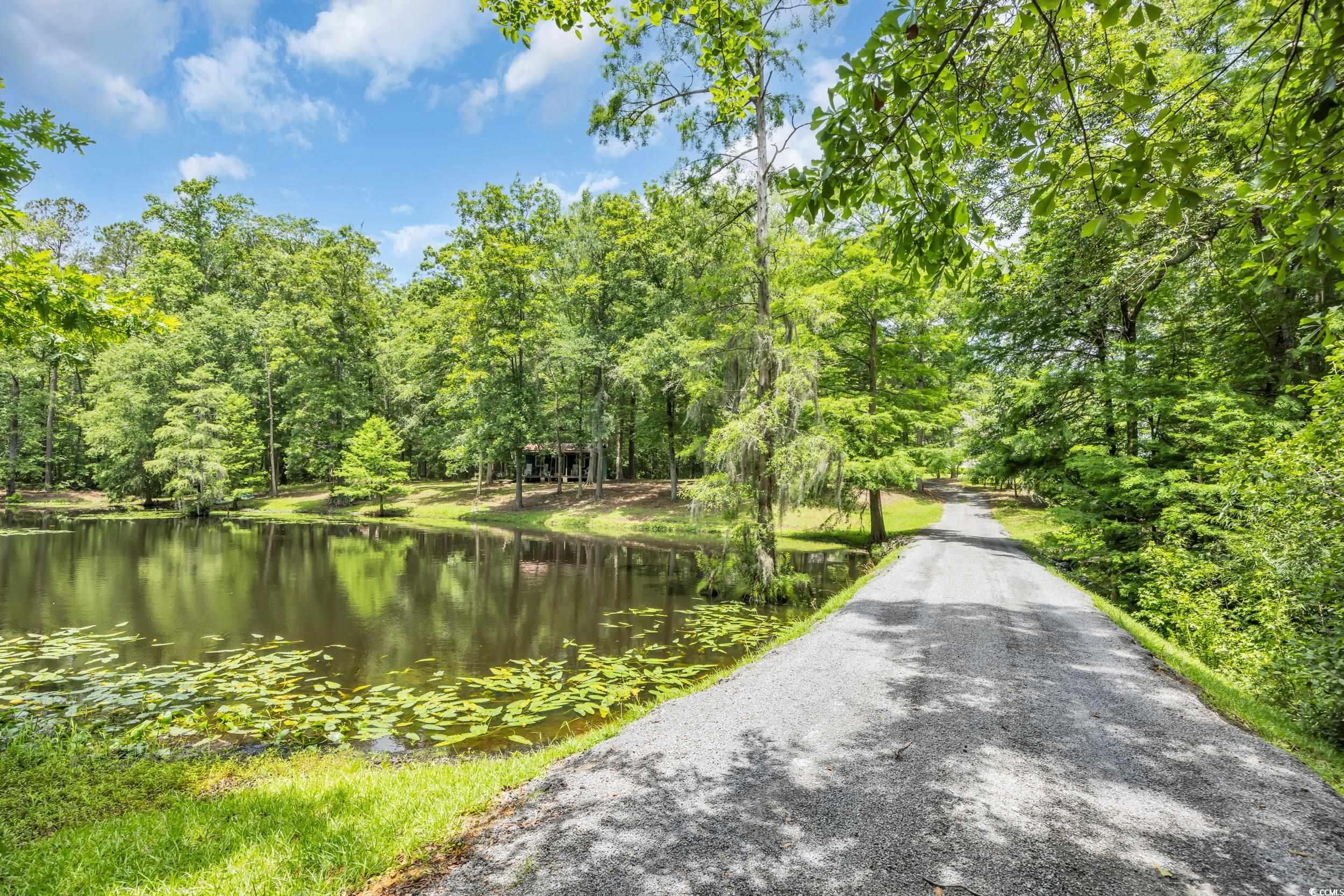 3231 Center Road Georgetown, SC 29440 - Photo 33 of 39