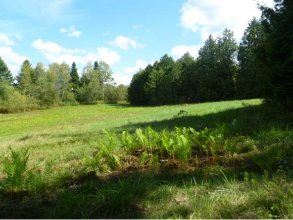 0 Country Club Road Greensboro, VT 05841 - Photo 1 of 1