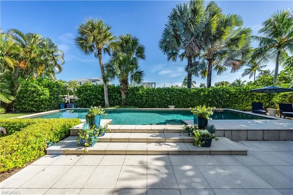a view of a garden with plants and palm trees