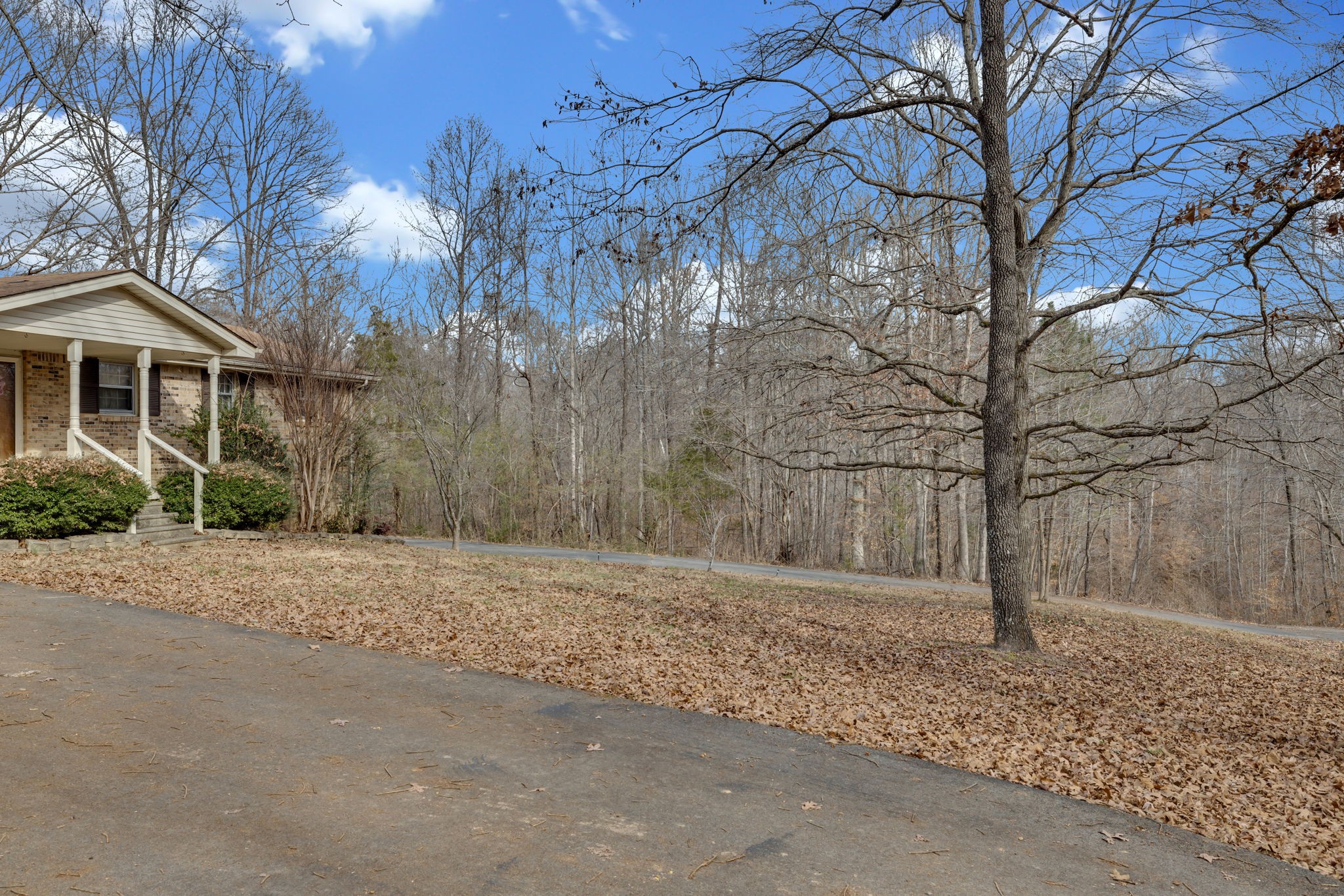 109 Cardinal Road Dickson, TN 37055 - Photo 8 of 49 a backyard of a house with large trees