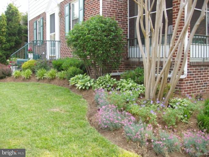 809 Dorchester Road Baltimore, MD 21229 - Photo 13 of 15 Garden