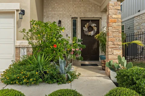 a potted plant sitting in front of a house