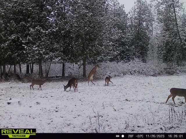 0 North Miller Road East Tawas, MI 48730 - Photo 16 of 23