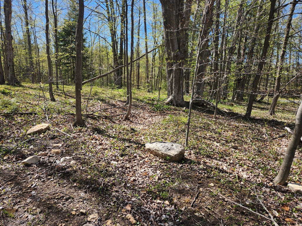 Tbd Old Stage Road Sister Bay, WI 54234 - Photo 10 of 13