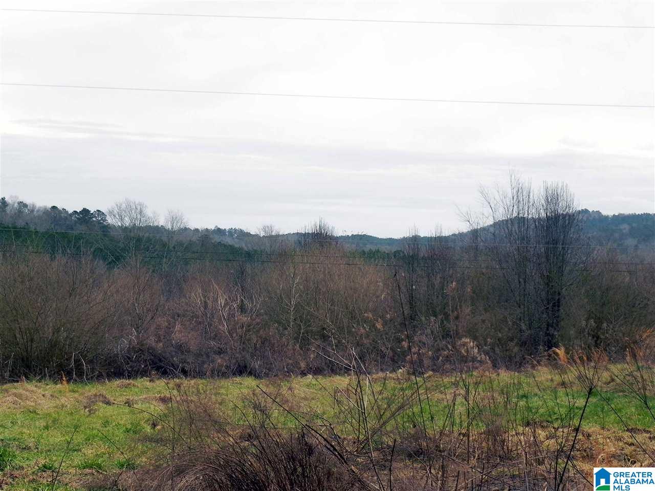 249 Field Street Anniston, AL 36207 - Photo 3 of 13
