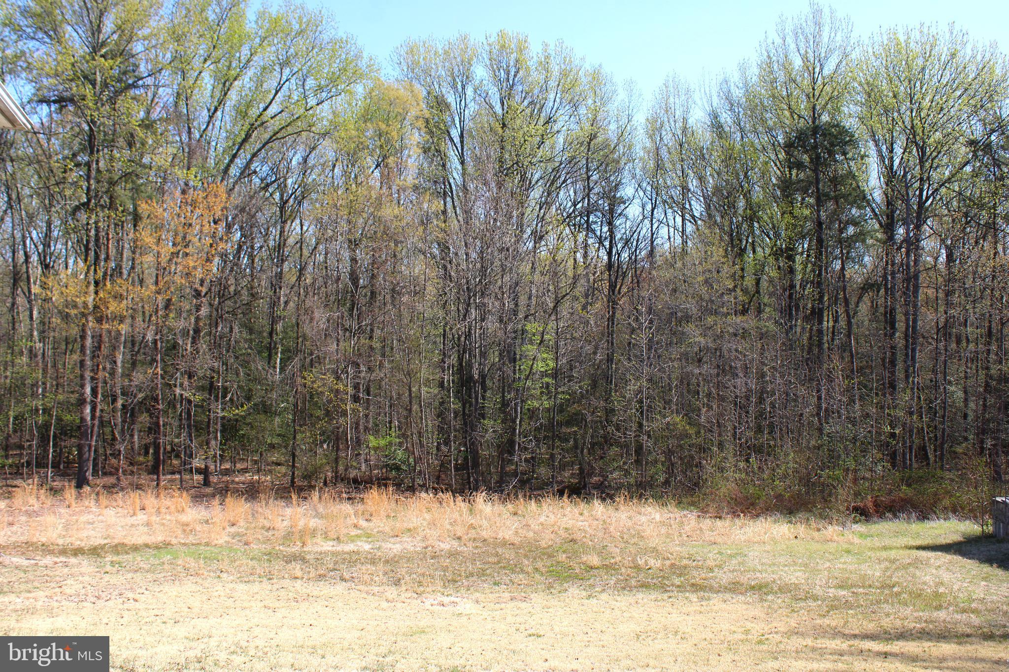 4346 Mountain Road Pasadena, MD 21122 - Photo 21 of 50 Gallery Image 21