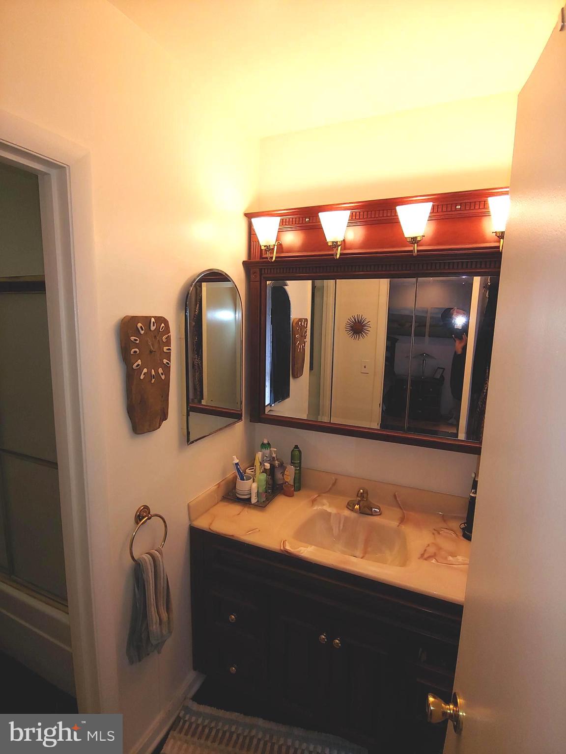 23 E Hamill Road, Unit 23E Baltimore, MD 21210 - Photo 7 of 11 Primary Bath