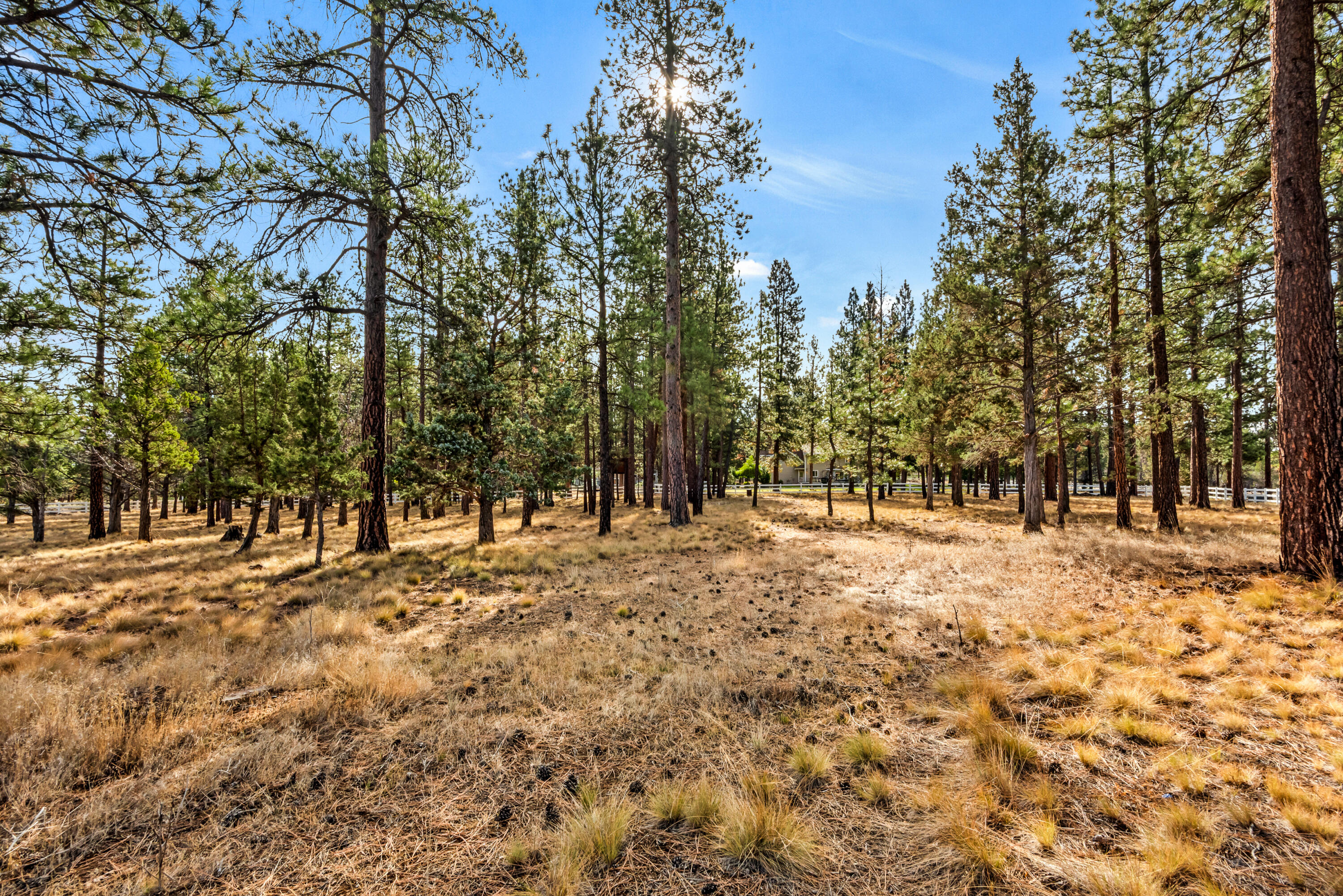 69550 Deer Ridge Road Sisters, OR 97759 - Photo 68 of 69 64