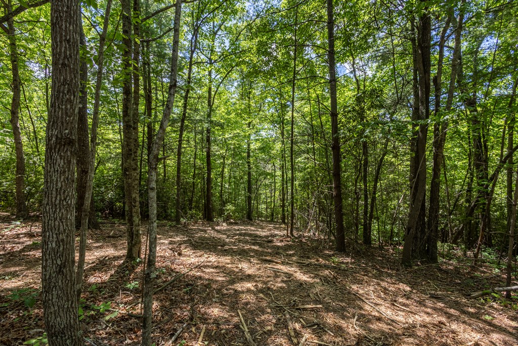 20-ac Pack Mountain Road Murphy, NC 28906 - Photo 3 of 20