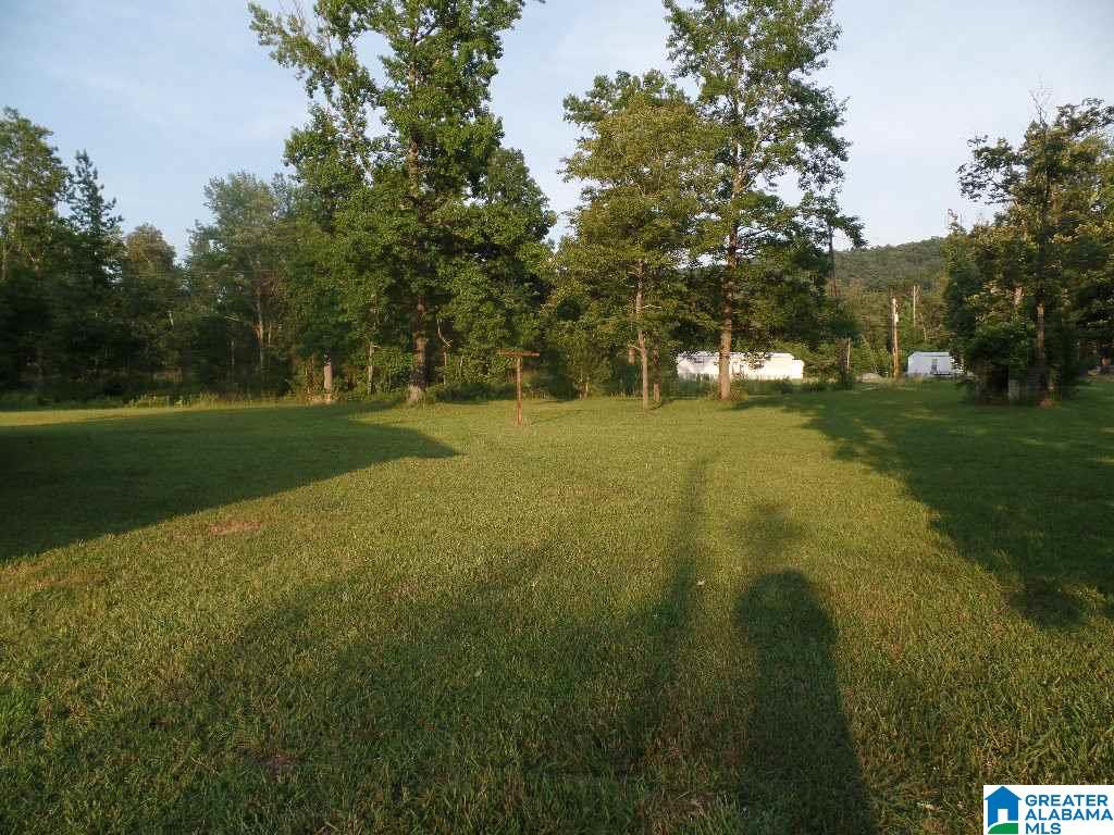 4420 Kelly Creek Road Odenville, AL 35120 - Photo 3 of 14