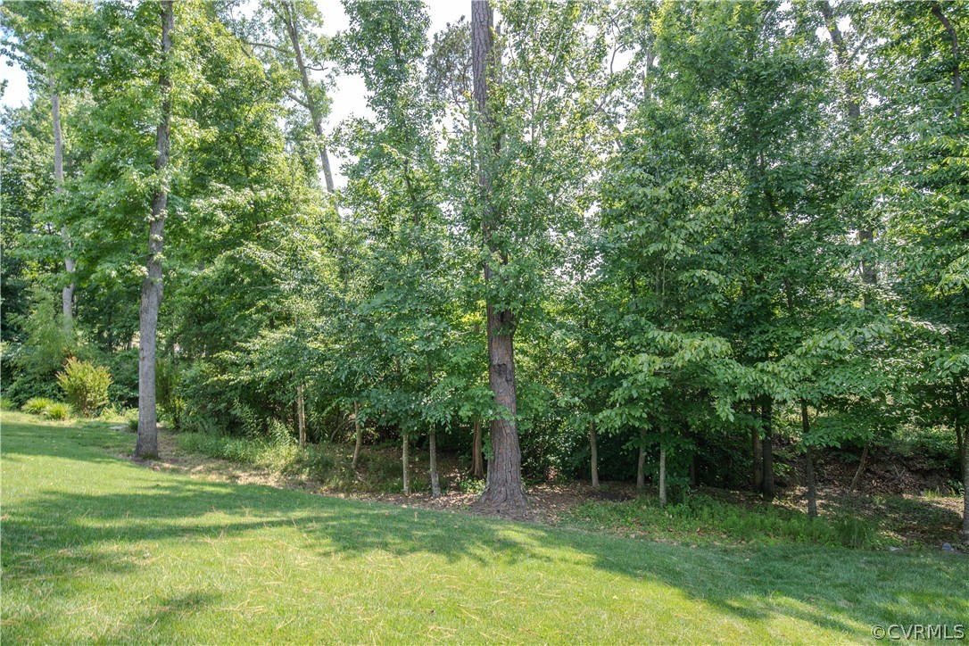 7649 Nicklaus Circle Moseley, VA 23120 - Photo 26 of 36 a view of a park