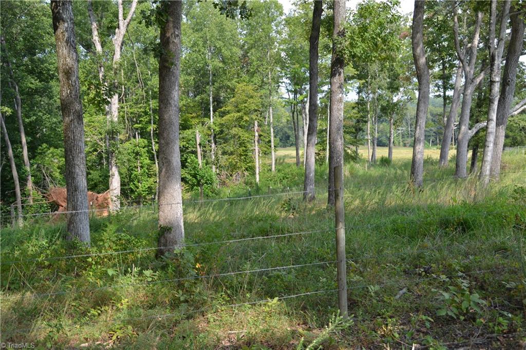1351 Simpson Road Stokesdale, NC 27357 - Photo 13 of 13 Gallery Image 13