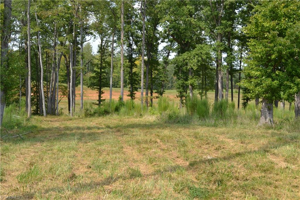 1351 Simpson Road Stokesdale, NC 27357 - Photo 5 of 13 Gallery Image 5