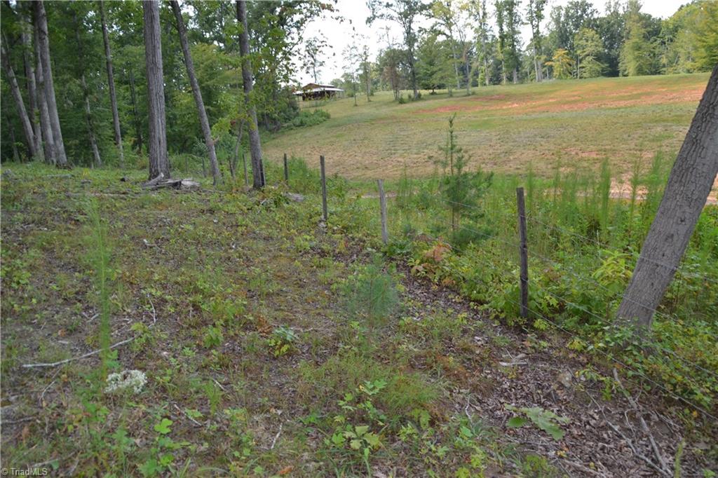 1351 Simpson Road Stokesdale, NC 27357 - Photo 8 of 13 Gallery Image 8