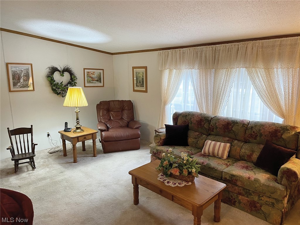 2909 East Garfield Road New Springfield, OH 44443 - Photo 5 of 10