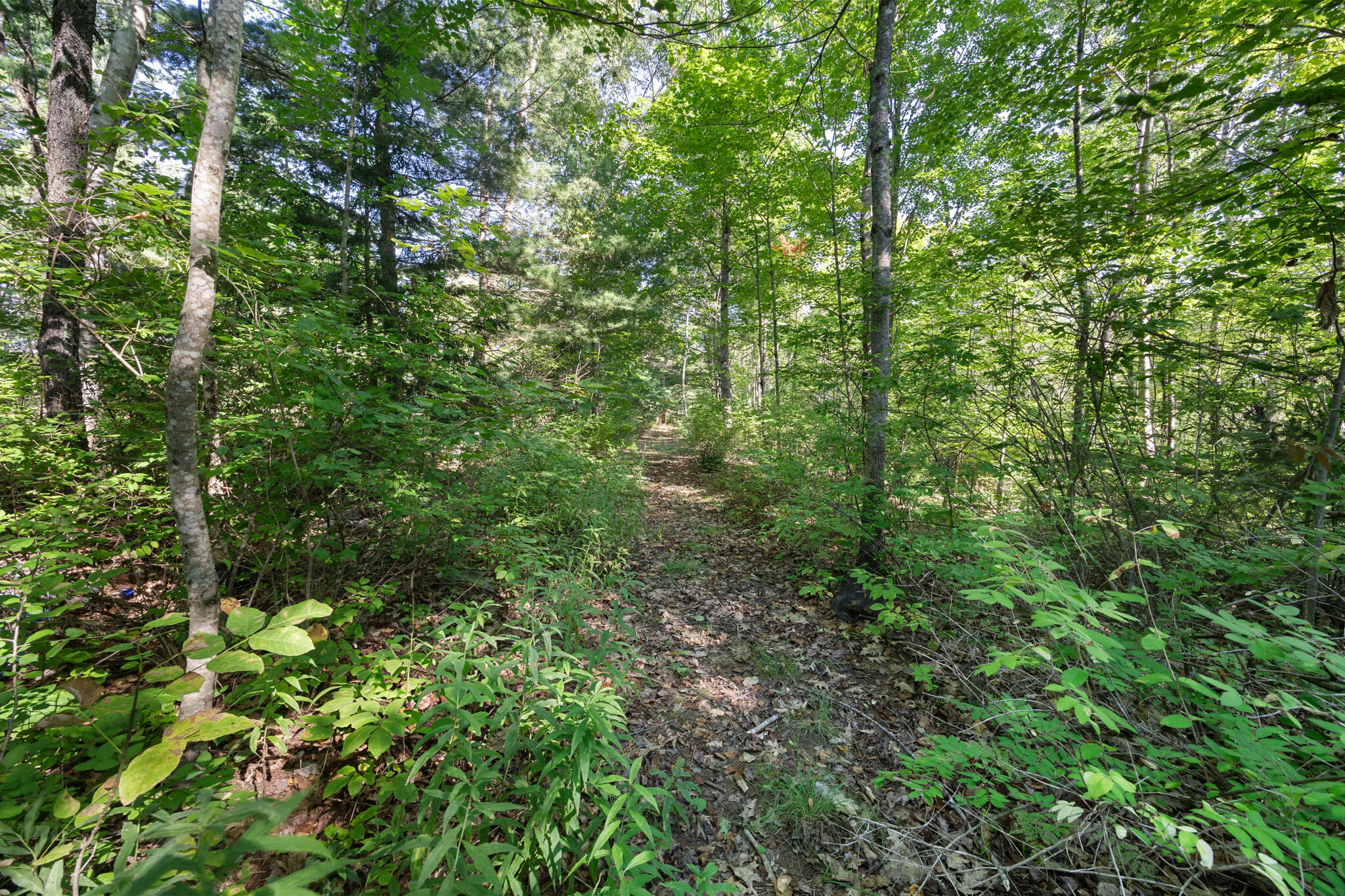 65 Jacy Place Unity, ME 04988 - Photo 5 of 28 ONE-29 (1)