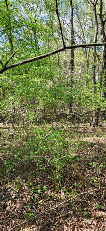 1642 Kersey Valley Road Archdale, NC 27263 - Photo 12 of 34