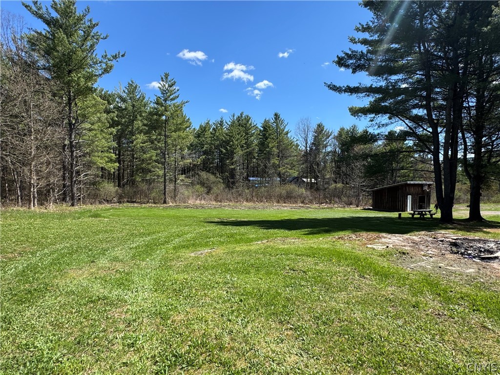 27415 Limestone Road Alexandria, NY 13679 - Photo 43 of 44