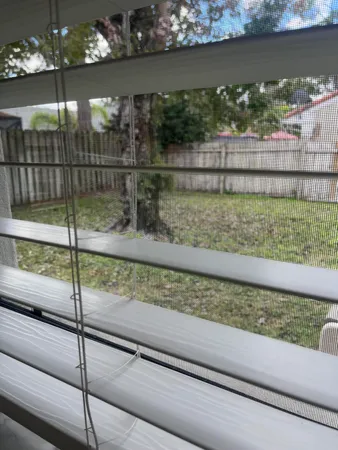 a view of a yard from a window