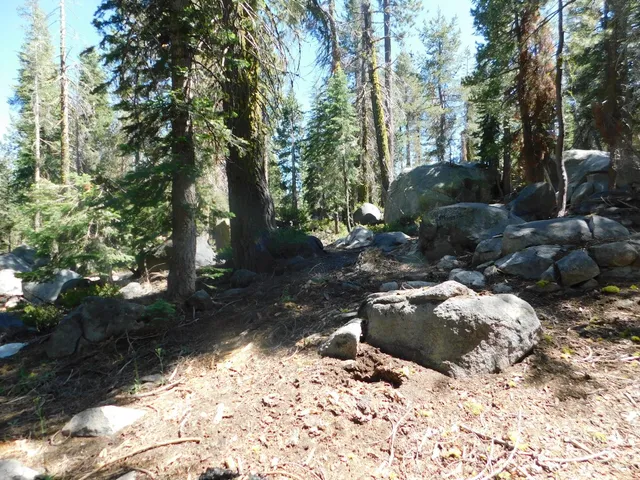$129,000 | 0 Kitch Trail, Arnold, CA 95223