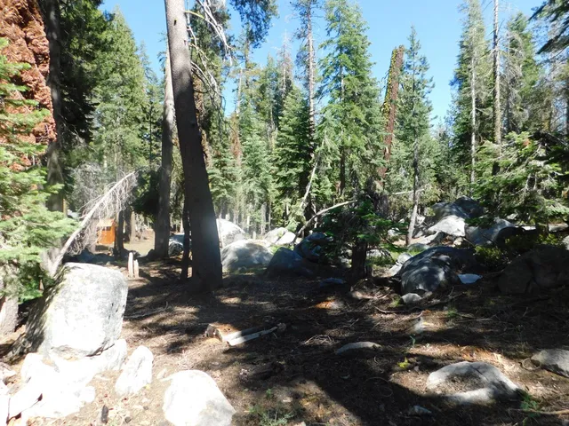 $129,000 | 0 Kitch Trail, Arnold, CA 95223