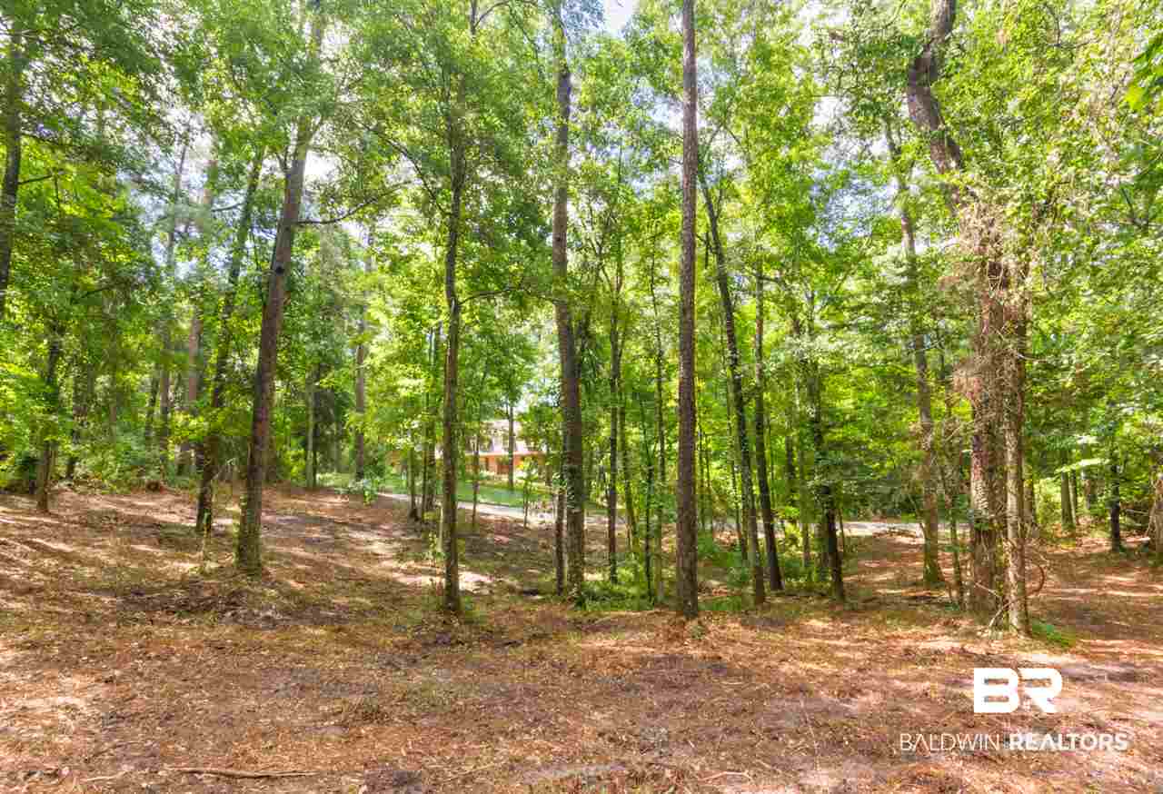 2 Military Bridge Drive Daphne, AL 36527 - Photo 4 of 12